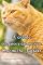 Livro A cidade dos gatos e das encostas - Onomichi, Japão (Paisagens deslumbrantes japonesas e animais fofos Livro 4)