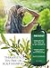 Tea Tree Oil Shampoo 16 fl oz - Anti Dandruff Shampoo Natural Essential Oil For Dry Itchy & Flaky Scalp - Sulfate Free, Anti-fungal, Anti-Bacterial Cleanser - Prevents Head Lice & Thinning