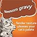 Purina Friskies Gravy Wet Cat Food Variety Pack, Gravy Sensations Poultry Pouches - (12) 3 oz. Pouches