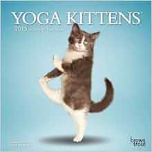 Yoga Kittens 2015 Mini 7x7 Multilingual Edition