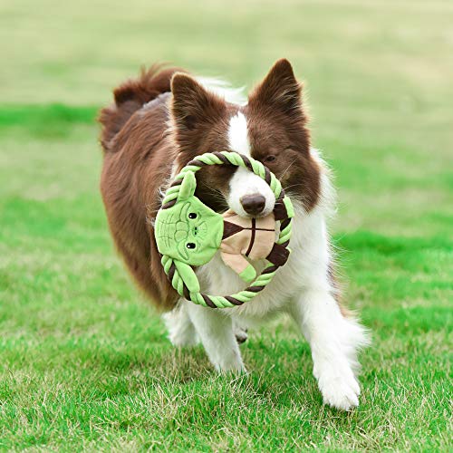 dog rope frisbee