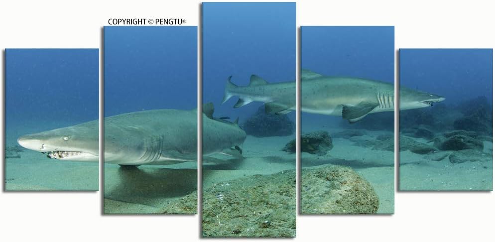 PENGTU Paintings Modern Canvas Painting Wall Art Pictures 5 Pieces Pregnant Ragged Tooth Sand Tiger Sharks Wall Decor HD Printed Posters Frame