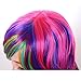 Colorful House Women's Long Wavy Rainbow Cosplay Costume Party Wig (28