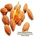 HONEY ALMOND Essential Oil Fragrance Oil Blend - Sweetened honey touched with lemon, lavender, bitter almond, and ginger - By Oakland Gardens