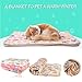 iNNEXT 2 Pack Puppy Blanket for Pet Cushion Small Dog Cat Bed Soft Warm Sleep Mat, Pet Dog Cat Puppy Kitten Soft Blanket Doggy Warm Bed Mat Paw Print