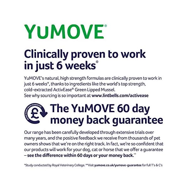 YuMOVE Cat | Joint Supplement for Cats, with Glucosamine, Chondroitin, Green Lipped Mussel, All Ages and Breeds | 60…