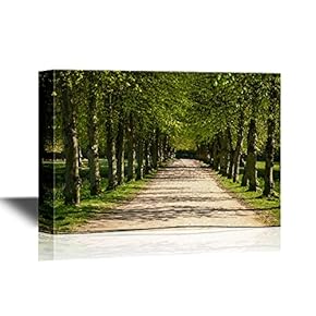 Forest Canvas Wall Art - Green Path in a Forest - Gallery Wrap Modern Home Art | Ready to Hang - 12x18 inches