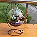 RONSHIN Creative Clear Glass Ball Vase Micro Landscape Air Plant Terrarium Succulent Hanging Flowerpot Containerthumb 3