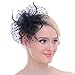 Fascinators Sinamay Hats for Women for Tea Party Kentucky Derby Wedding Cocktail Mesh Feathers Hair Clip Black