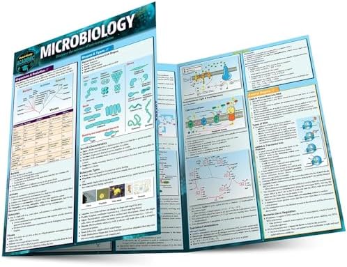 Physiology: QuickStudy Laminated Reference Guide (QuickStudy