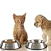 Stainless Steel Pet Bowls with Non Slip Rubber Bottom for Dogs and Cats-Feeder Dish for Food and Water- Set of 2, 16 Oz Each By PETMAKER