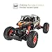 DEERC Remote Control Car 4WD Off Road RC Cars 1/18 Scale Monster Truck for Adults RTR Crawler Vehicle 2.4GHz Radio Controlled High Speed Toys for Boys and Girls