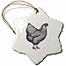 3dRose orn_170779_1 Hen with White Feathers Edged in Black Victorian Bird Illustration-Snowflake Ornament, Porcelain, 3-Inch