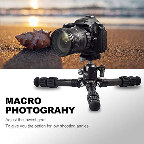 MENGS TS-223C Carbon Stativ Arca-Swiss kompatibel, Kompakt Leichtes Stativ inkl BH-36 Panorama Kugelkopf u Stativtasche – Bild 5
