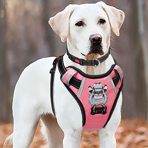 babyltrl harness