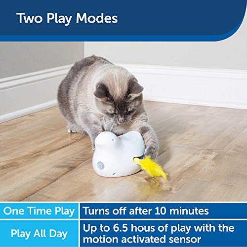 PetSafe PeekABird Electronic Toy and Interactive Bird Hunt