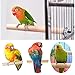 MwaBaiTx Natural Parrot Perch Set, Bird Chewing Toys Bird Perch Bird Stand Bird Cage Accessories (Type 4)thumb 1