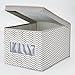 InterDesign Chevron Fabric Closet Organizer Box – Soft Storage Bin for Clothing, Shoes, Handbags, Linen - Large, Taupe/Natural