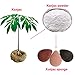 GT LIFE Konjac Sponge 100% Natural Facial Sponge with Activated Bamboo Charcoal for Deep Pore Cleansing (3 Packs)