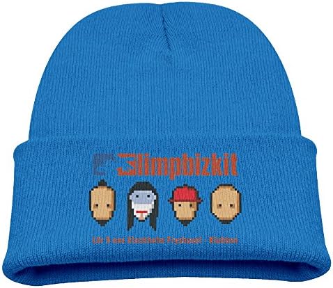 Youth Limp Bizkit Mosaics Poster 9 Nov Stockholm Beanie Hats Knit Cap