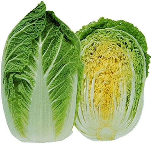 Asian Greens Chinese Cabbage, 50 Seeds Pack by Seedscare
