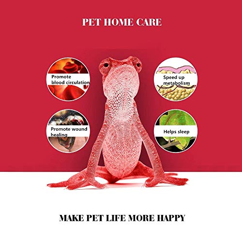 image for Beststar Infrared Heat Lamp/Light/Bulb, 120 Volt, Red, Heat-Glo Infrar