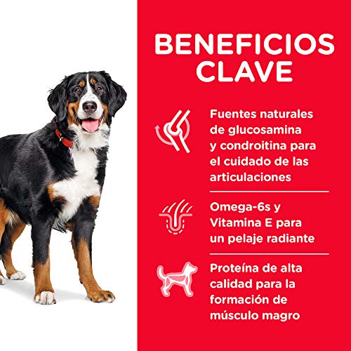 Hill's Science Diet Large Breed Dog Food - Image 5