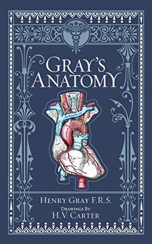 Gray's Anatomy for Students: With STUDENT CONSULT Online Access