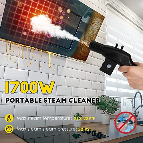 CGOLDENWALL Household Steam Cleaning Machine 1700W Handheld Steamer for