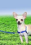 PetSafe Easy Walk Harness,  Petite, ROYAL BLUE/NAVY BLUE for Dogs