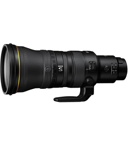 Amazon.com : Nikon AF-S FX NIKKOR 400mm f/2.8E FL ED Vibration