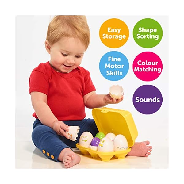 TOMY Toomies Hide and Squeak Eggs, Educational Shape Sorter Baby, Toddler and Kids Toy, Suitable For 6 Months and 1, 2…