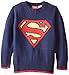 Warner Brothers Little Boys' Superman Boys Sweater, Blue, 2T