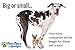 A Mutts Story Bite Size Pieces Naturally Slow Smoked Gourmet Beef Sausage Dog Jerky Treats | Gluten Free, No Corn or Soy | Crafted in Small Batches Healthy Soft Jerky Dog Treats Made in The USA | 1lb