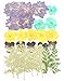 Pressed flowers, larkspur, evening primrose, pansy, foliage for art & craft, card making