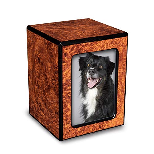 Chateau UrnsPet Photo Urn with Picture for Dog Ashes-Small Pet Urn for Ashes-Cremation Box for Ashes Adult Male-Memorial Gifts for Cats and Dogs - Small Wooden Burl Urn (up to 46 lb/46 Cubic inches)