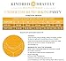 Kindred Bravely Under The Bump Seamless Maternity Underwear/Pregnancy Panties - Bikini