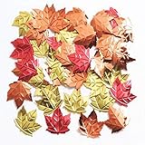 Creative Converting Embossed Maple Leaf Confetti