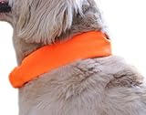 Dog Not Gone Visibility Products Collar Cover, Hunter Orange