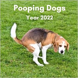 Pooping Dogs 2022 Calendar: Funny Pooches Answering Nature's Call For Dog Lovers | Joke, White Elephant, Gag, Gift, Secret Santa, Christmas Stocking Filler: Publications, Auraq: 9798497730647: Amazon.com: Books