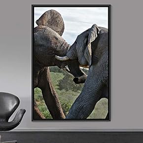 signwin Framed Canvas Wall Art Elephants Animals Dramatic...