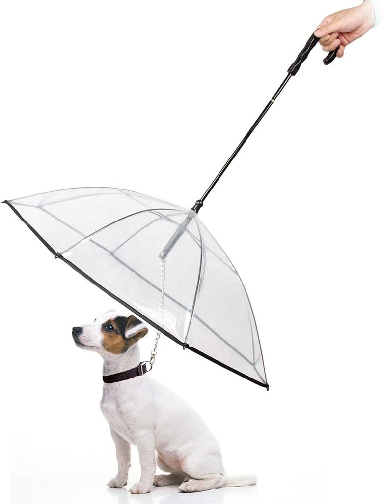umbrella leash holder