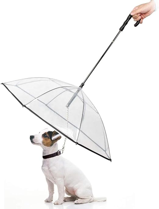 amazon dog umbrella