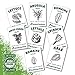 Organic Garden Greens Vegetable Seeds - 8 Varieties of Heirloom, Non-GMO Salad Green Seeds - Lettuce, Arugula, Swiss Chard, Kale, and Spinach