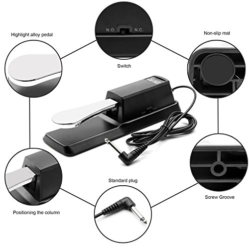 4 Sustain+Universal+Behringer+Electronic+keyboards