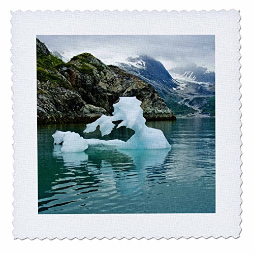 3dRose qs_87519_3 Alaska, Glacier Bay NP, Ice Floating US02 JGI0088 Jerry Ginsb…