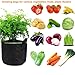 Ke senle 10 Pack 2 Gallon Grow Bags,Nonwoven Vegetable Flower Plant Grow Bags with Durable Handlesthumb 1