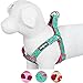 Blueberry Pet Step-in Pink Flamingo on Light Emerald Dog Harness, Chest Girth 23.5