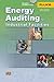 Energy Auditing for Industrial Facilities
