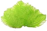 ADAMAI 10PCS Natural 7.8-9.8inch Ostrich Feathers